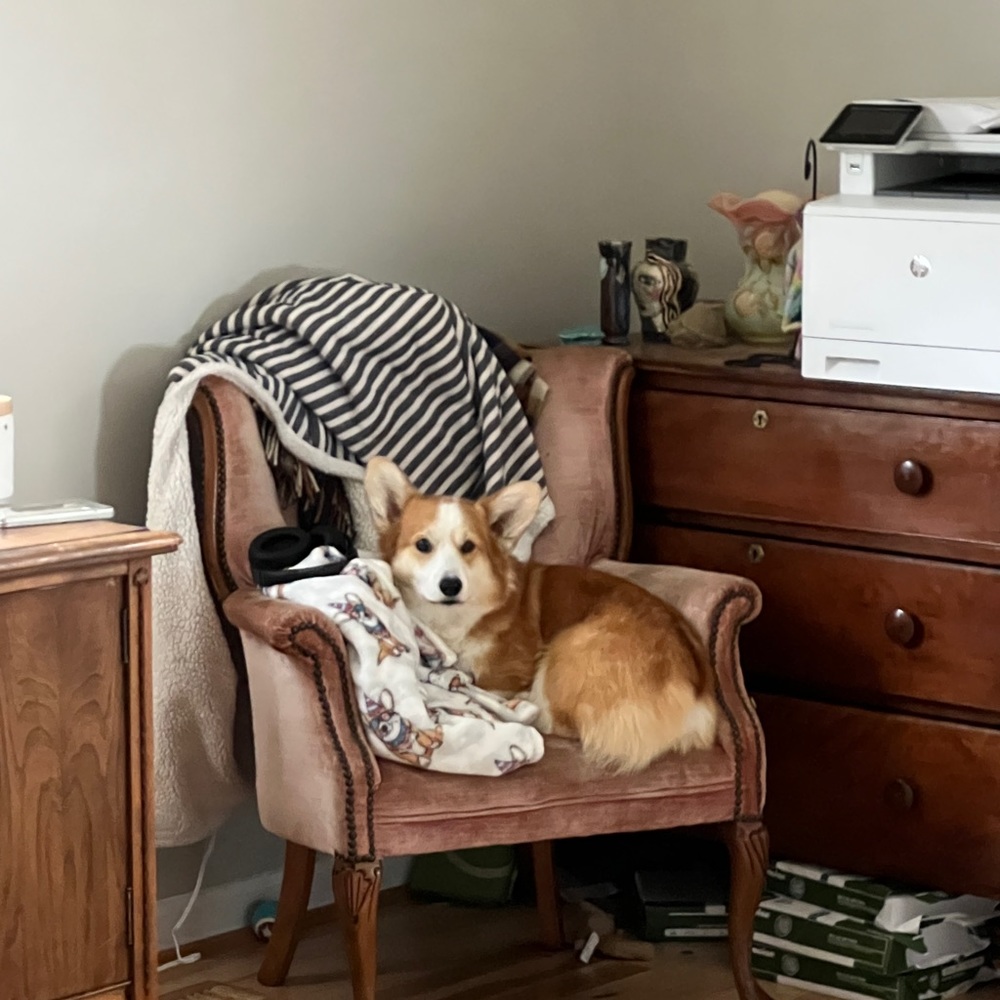 Meet your Posher, Carrie